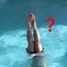 🦐's profile picture