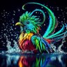 Turmol profil fotoğrafı