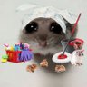 вяυиα ɨ ǿ ȿ🌻🐹🐦's profile picture