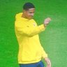 Yigit Efe's profile picture