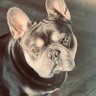 Profilbild von C. Smith