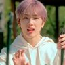 Profilbild von Zazaza ฅʕ•ﻌ•ʔฅ|| ʕᵔᴥᵔʔ