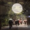 jun369 的头像