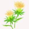 Фото профиля すえつむ はな