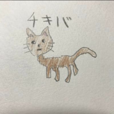 ちきば's profile picture