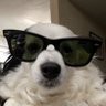 07_Nice_Jake 的头像