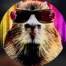 Noticiasxqsi's profile picture