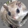 Фото профиля モモン