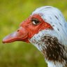 Eugene Mwavali's profile picture