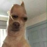 C profil fotoğrafı
