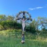 U Mara profil fotoğrafı