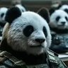 Profilbild von Dr.G(互FO是有力量的)