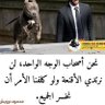 سعاد 的头像