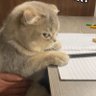 Moomin n Gamhom' mom 🦊🐰 profil fotoğrafı