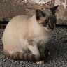 やまさ's profile picture