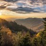 Smoky Mountain Dad profil fotoğrafı