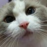 Profilbild von Fairy❤1224