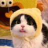 kunnalinn's profile picture