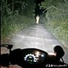 Фото профиля Kiong