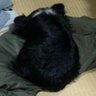 やす 的头像