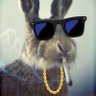 Profilbild von Romeo1989 🍀