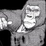 LE76455's profile picture