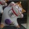 三毛猫ダビデ's profile picture