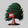 Profilbild von Lebanon1st
