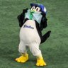 チビ太郎's profile picture