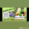 مزارع الفلاح نجران .. الاكوابونيك 的头像
