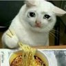 oodles 🍜 的头像