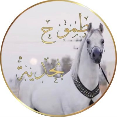 alnor88088's profile picture