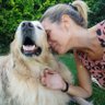 Evy molina profil fotoğrafı