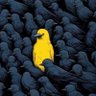 Eng |•|•|نكہٰش's profile picture
