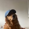 tata 的头像