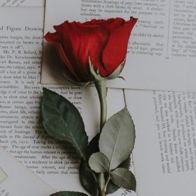 NessaAudrey88's profile picture