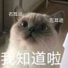 Profilbild von 二十七
