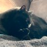 Locashcat277 profil fotoğrafı
