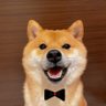 今日も阮愛妻です 的头像