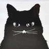 Profilbild von gatonismo