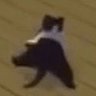 Fern's profile picture