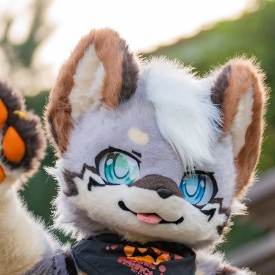 Amami_Fox_Yuuki's profile picture
