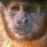 bruno3434 profil fotoğrafı