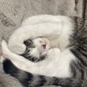 みーくん 的头像
