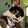 Wolfgang Doghouse 🍉🔻's profile picture