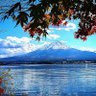 ずんどこべろんちょ profil fotoğrafı