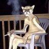 bombo's profile picture