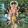 Ashish's profile picture
