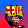 Barcelona m'esborrona's profile picture