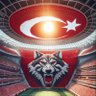 Mauropicardi's profile picture